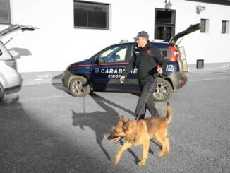 Carabiniere con cane antidroga