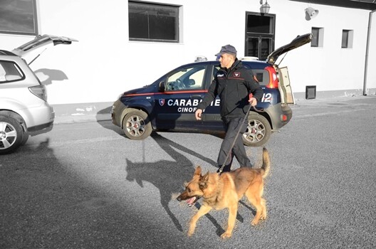 Carabiniere con cane antidroga