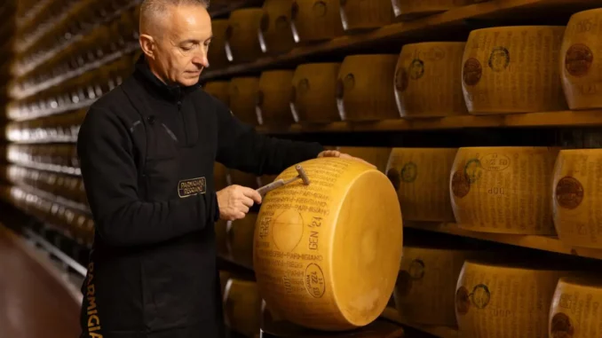 Parmigiano Reggiano, battitura al via per controllare la qualità