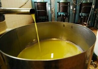 Altroconsumo rincari olio extravergine oliva arriva test comparativo per risparmiare
