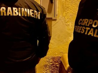 Carabinieri nuoro baronia