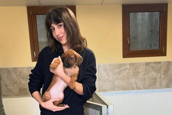 Cecilia Sala arrestata, il compagno Daniele Raineri: “Saprà di tutto l’affetto” Incendio kartodromo Monastir