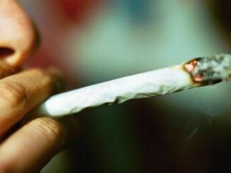 Nuovo codice strada cannabis e fumo passivo cosa captano i test e per quanto tempo