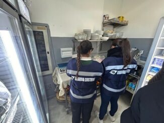 Operazione complessa nazionale e-FISHING