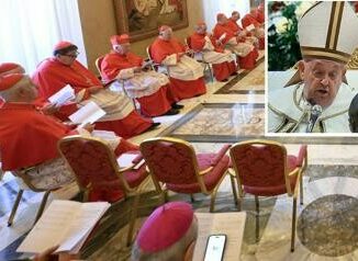 Papa al Concistoro con un ematoma sotto il mento