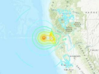 Terremoto magnitudo 7 in California allerta tsunami