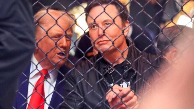 Trump contro Musk, le otto mosse che possono compiere per farsi male