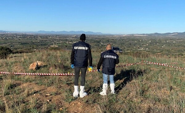 carabinieri cagliari ritrovamento cacciattori morti a quartu ridim carabinieri cagliari ritrovamento cacciatori morti a quartu