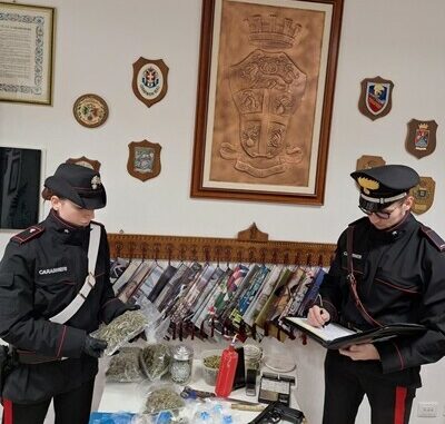sestu sequesro droga e arresto ridim sestu sequesro droga e arresto