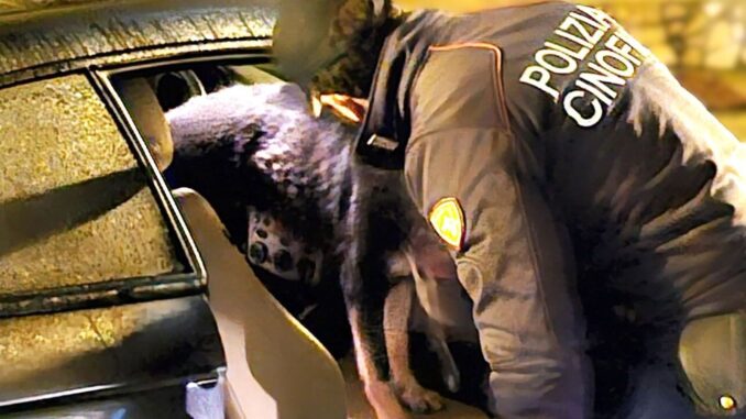 Stroncato traffico di droga a Caltanissetta, 8 misure cautelari