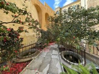 A Boboli apre alle visite il giardino segreto delle camelie