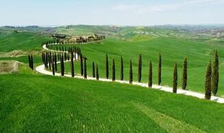 Elon Musk cerca casa in Toscana due i castelli che hanno sedotti il miliardario