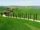 Elon Musk cerca casa in Toscana due i castelli che hanno sedotti il miliardario