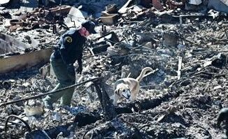 Incendi Los Angeles 24 morti e emergenza continua
