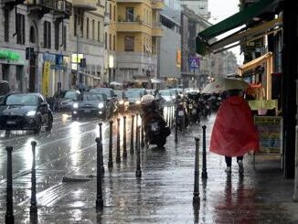 Milano salmonella e legionella in impianti idrici condominiali 1 su 20 oltre i limiti