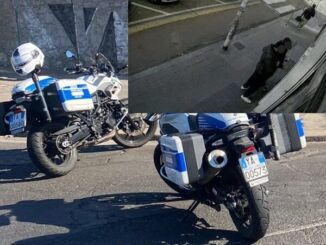 furto di una borsa polizia locale cagliari
