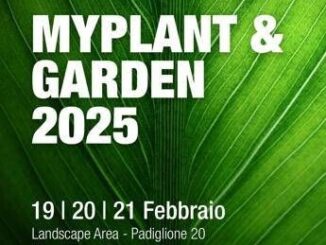 Green will save the world Myplant Garden International