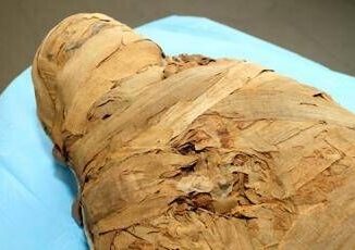 Legnoso e dolce piccante ecco il profumo di Tutankhamon scoperto odore mummie egiziane