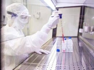 Medicina 5 bambini con neuroblastoma curati al Bambino Gesu con Car T da donatori