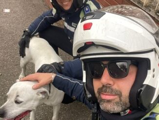 cane salvato da polizia locale cagliari