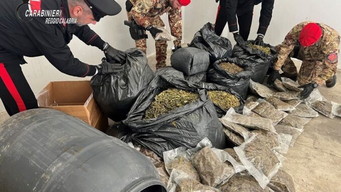 Più di 30 kg di marijuana nascosti in casa nella Locride, un arresto