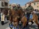 Mauro Casu da Tempio a Oristano per la Sartiglia