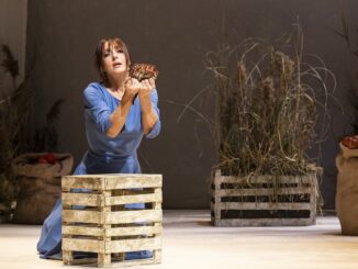 Ambra Angiolini_ Oliva Denaro (Foto Laila Pozzo)