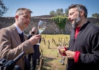 Arriva larcheo vino tra i ruderi di Pompei alleanza tra viticoltura e storia