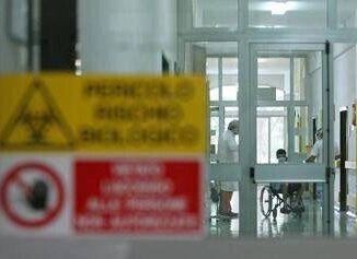 Aviaria lallarme Ce rischio che diventi pandemia come il Covid