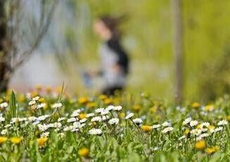 Da allergie a sonno cattivo ecco gli acciacchi di primavera e come affrontarli