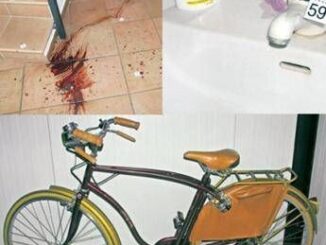 Delitto di Garlasco dallorario della morte al numero di scarpe nulla porta a Sempio