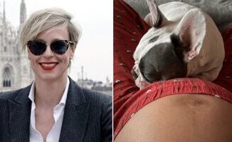 Federica Pellegrini e incinta Il pancione insospettisce i fan poi svela larcano