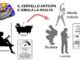 Il cervello non e mai davvero spento ecco cosa succede quando e in relax