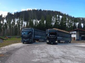 Innovazione e sostenibilita la Doriguzzi Energy si conferma leader del mercato del legno