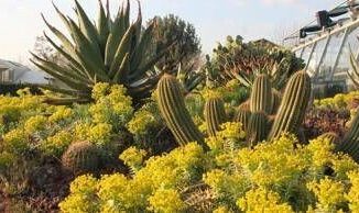 L Universita di Roma Tor Vergata apre orto botanico a scuole e cittadini per esperienza sostenibile