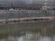 Maltempo allerta a Roma per rischio piena Tevere chiuse banchine