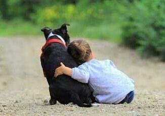 Non diamo la colpa ai cani pediatri e veterinari per convivenza sicura con bimbi