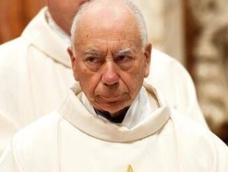 Papa Francesco cardinal Coccopalmerio La foto Commosso ma non puo bastare al nostro affetto