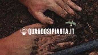 Quando Si Pianta: La Rivoluzione dell’informazione green made in Italy di Tullio Fiore