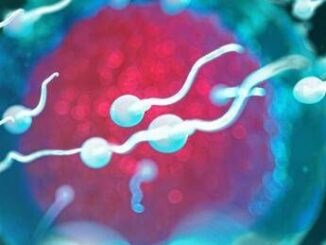 Sperma di qualita migliore uomini piu longevi la scoperta nello studio danese