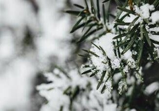 Temperature giu di 10 gradi colpo di coda dellinverno sullItalia