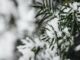 Temperature giu di 10 gradi colpo di coda dellinverno sullItalia