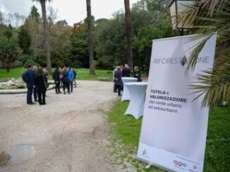 Tutela del verde in 13 citta metropolitane Mase lancia RiforestAzione