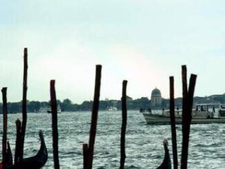 Venezia barca centra una briccola in laguna morta una donna