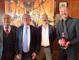 Vino strategie per adeguarsi ai prossimi cicli economici per settore resiliente