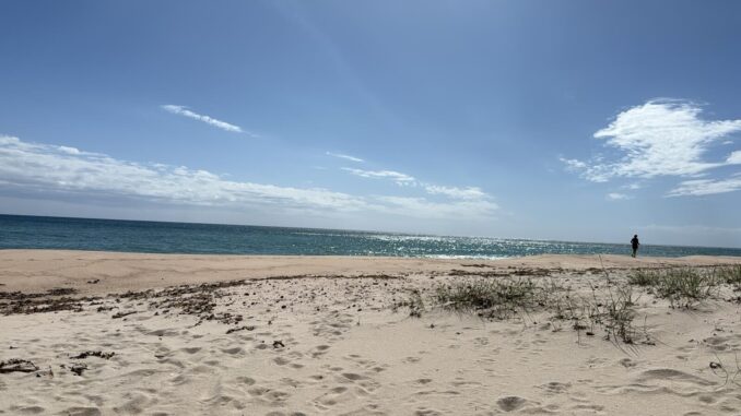 spiaggia