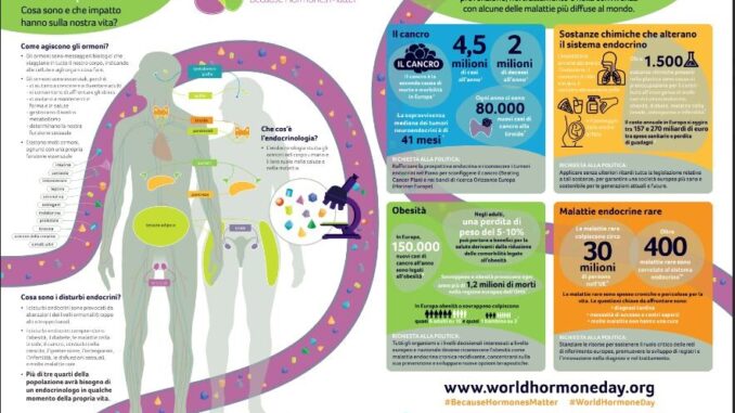 World Hormone Day, AME accende i riflettori sugli interferenti endocrini