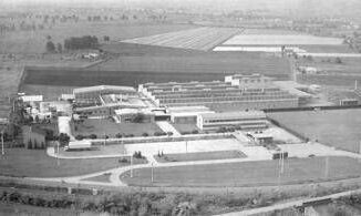 Agroalimentare, pisellini primavera Findus compiono 60 anni 2 Agroalimentare pisellini primavera Findus compiono 60 anni