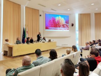 Settimana verde a Olbia
