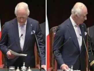 Carlo e il discorso alla Camera Cerimonia finita. Anzi no Video